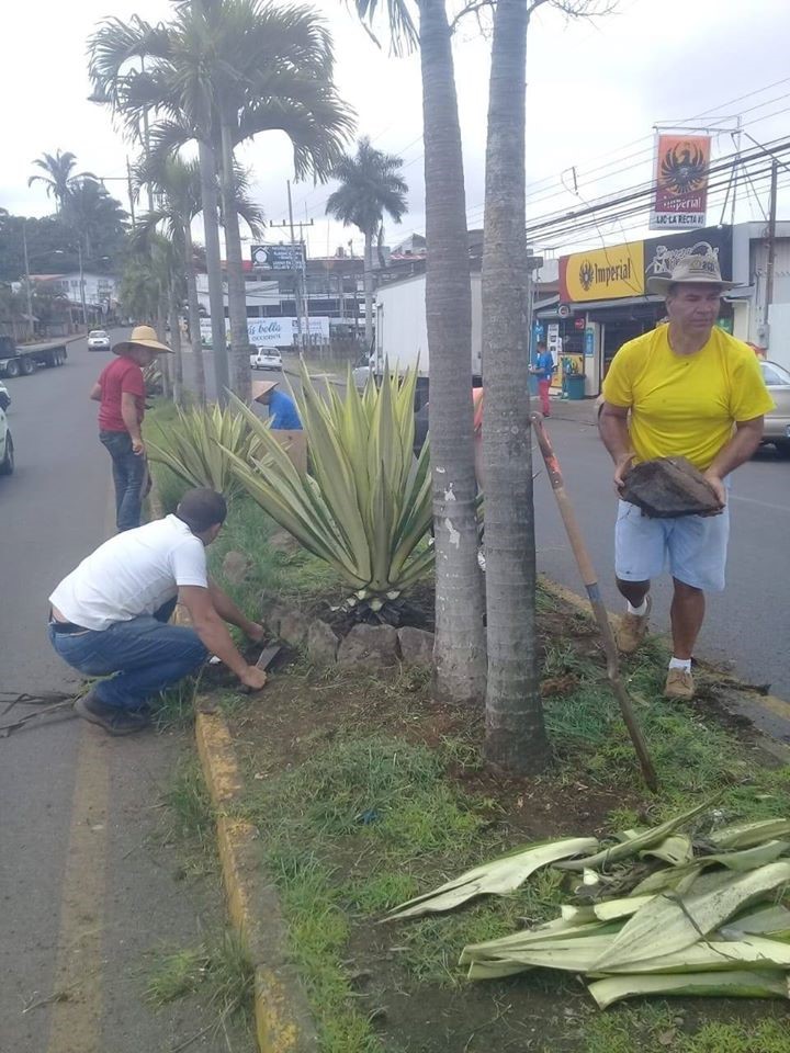 Jardineras y Zonas Verdes